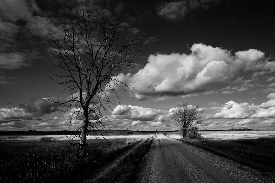 Fall Photograph - Desolate Country Road BW by Donald  Erickson