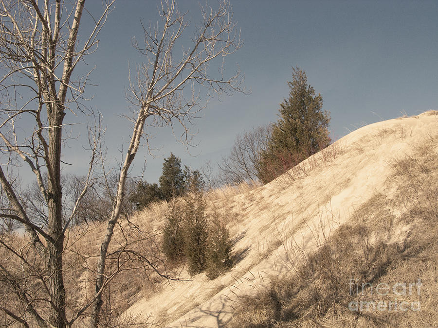 Desolate for a Season Photograph by Ann Horn
