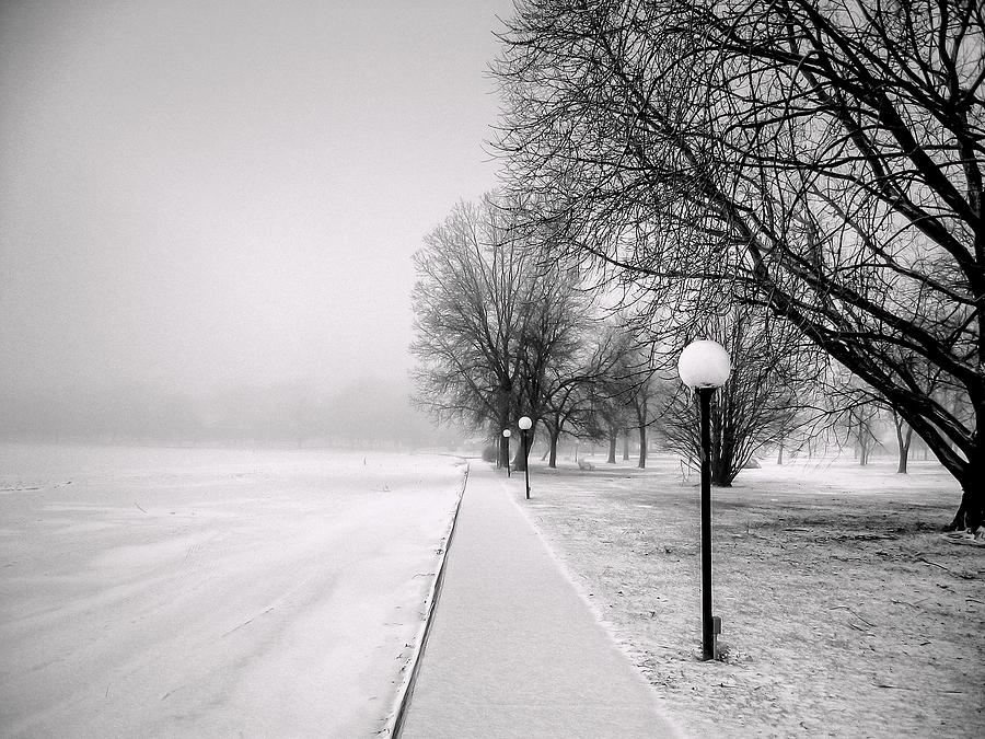 Desolate Winter 1 Photograph