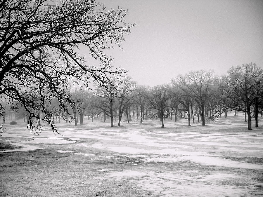 Desolate Winter 4 Photograph