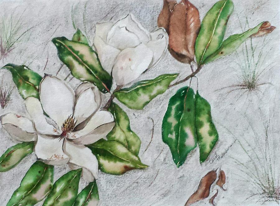 Magnolia Movie Painting - Destin Dune Magnolia by Carol Denna