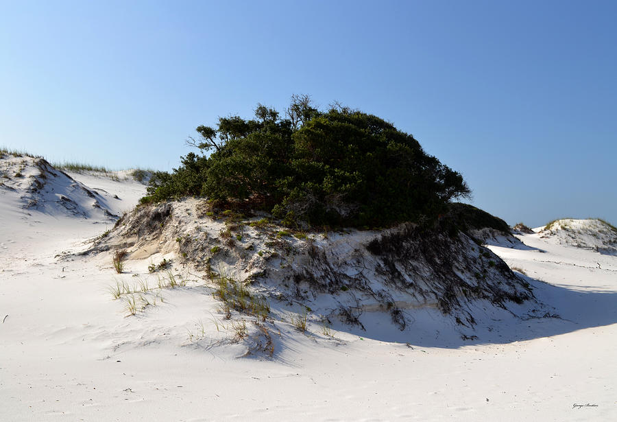 Destin Sand Dunes