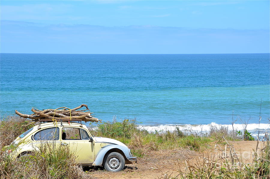 Destination Bonfire - Sayulita Photograph by Amy Fearn