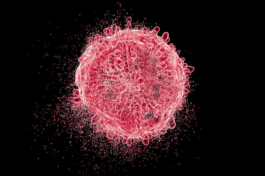 Destruction of leukaemia blood cell, illustration Drawing by Kateryna Kon/science Photo Library