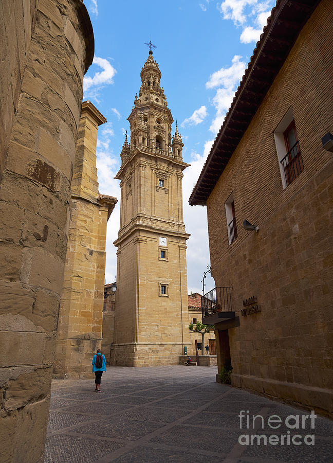 Detached tower of the cathedral of Santo Domingo de la Calzada Photograph by Louise Heusinkveld