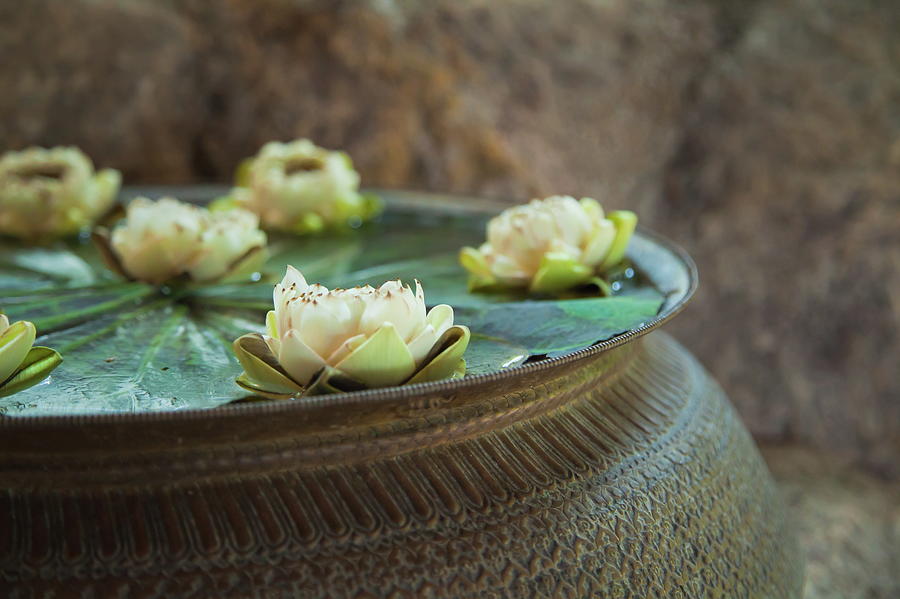 Lily Photograph - Detail From A Thai Spa Room by Nicoolay