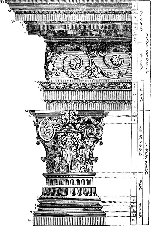 Architecture Photograph - Detail Of A Corinthian Column And Frieze II by Suzanne Powers
