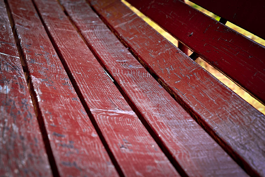 Fall Photograph - Detail Of A Wooden Benches In The Park by Jozef Jankola