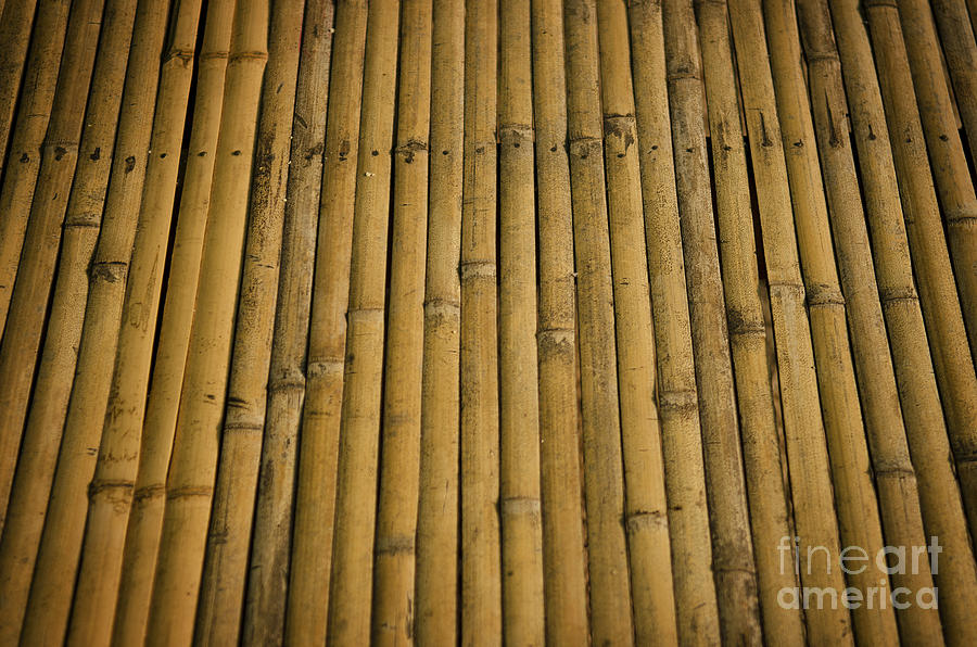 Detail Of Bamboo Surface Photograph by JM Travel Photography