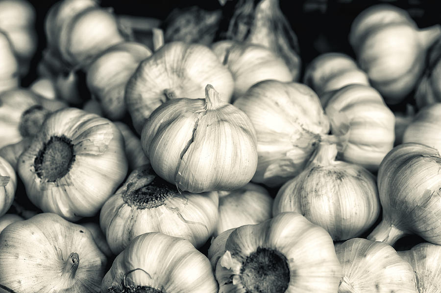 Black And White Photograph - Detail of Garlic in Black and White by Francesco Rizzato
