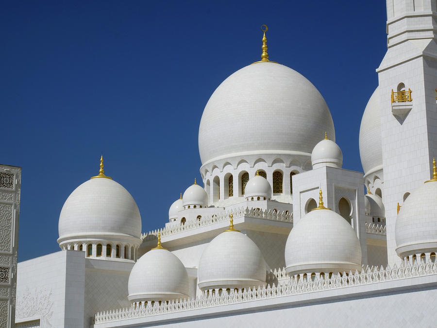 Detail Of Sheikh Zayed Bin Sultan Al Photograph by Panoramic Images ...