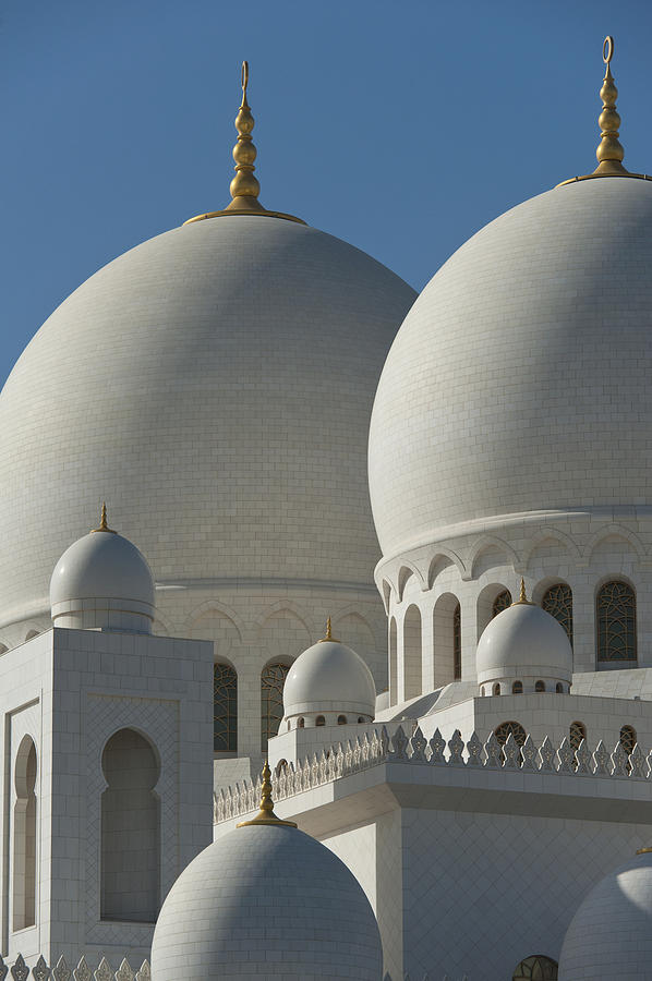 Detail Of The Domed Roof Of The Sheikh Photograph by Ian Cumming Fine