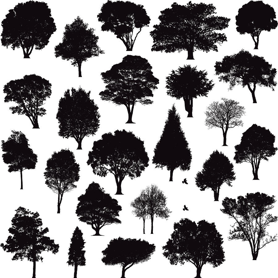 Detailed tree silhouettes Drawing by Enjoynz