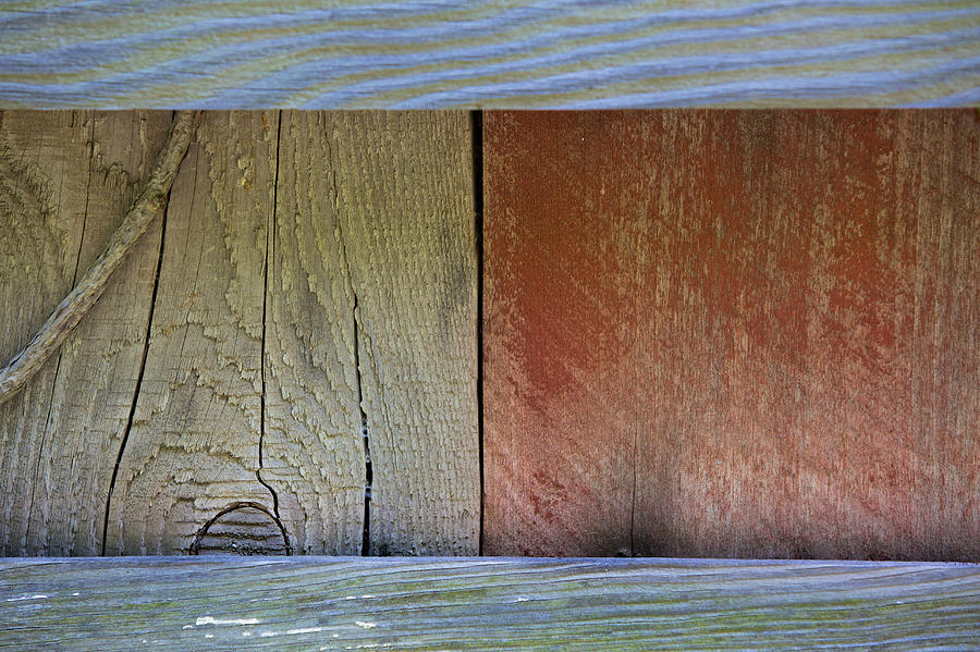 Details of a Weathered Barn Door Photograph by David Letts