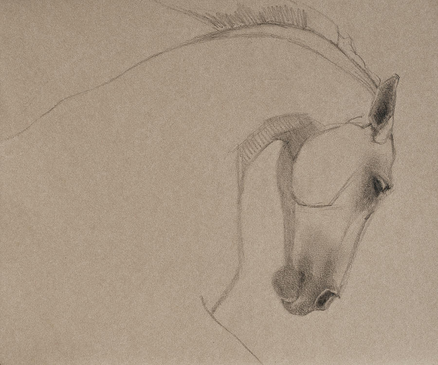Horse Drawing - Determination - Grey Version by Jani Freimann