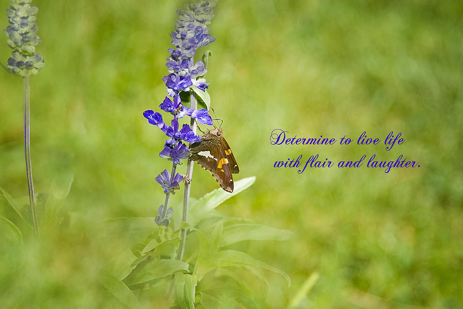 Determination Photograph by Mary Timman