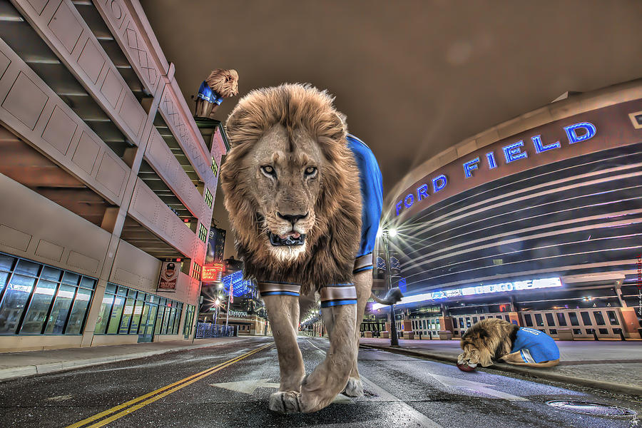 Detroit Lions at Ford Field Photograph by Nicholas  Grunas