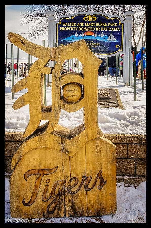Detroit Tigers Baseball Photograph by LeeAnn McLaneGoetz McLaneGoetzStudioLLCcom