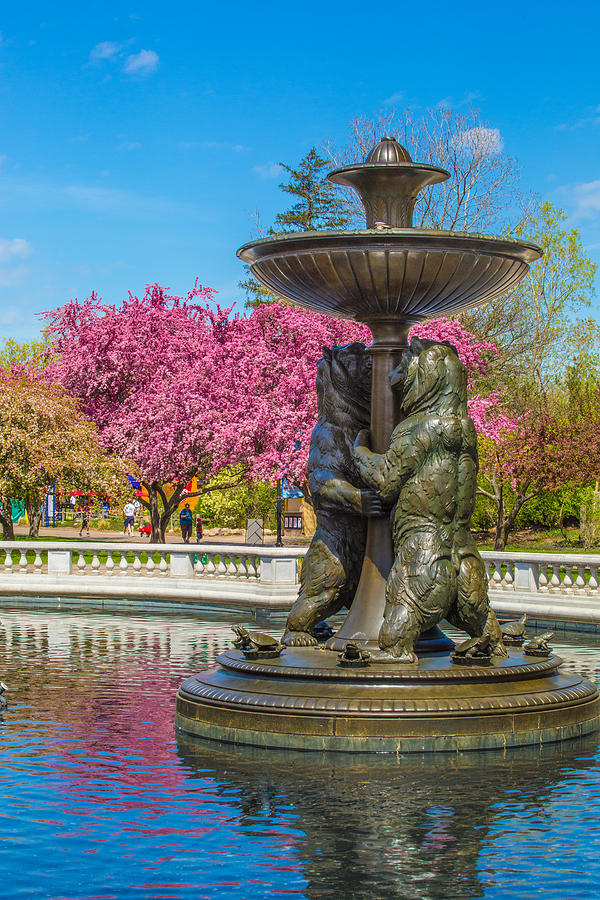 Detroit Zoo Photograph by Melvin Busch Fine Art America