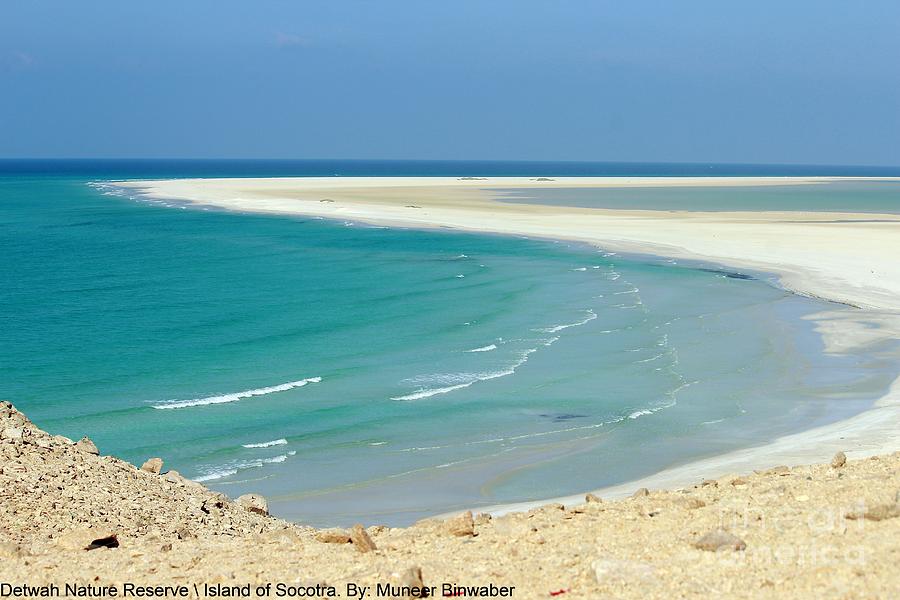 Beach Photograph - Detwah Nature Reserve  by Muneer Binwaber