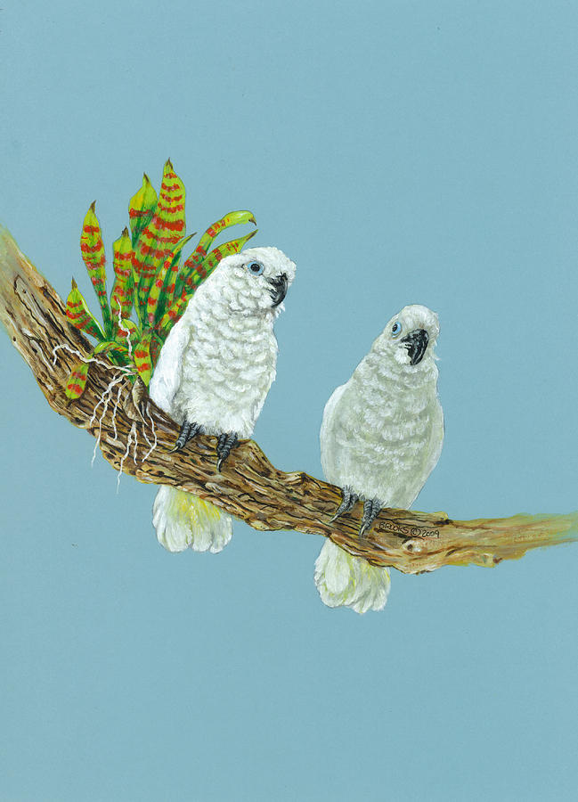 Cockatoo Painting - Deuces Wild by Richard Brooks