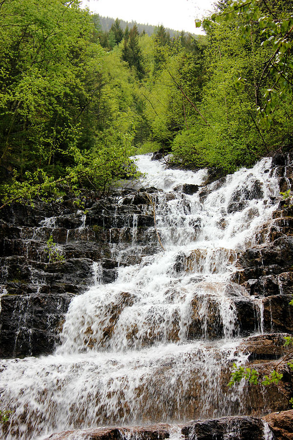 Devil's Creek Photograph by Connie Zarn - Fine Art America