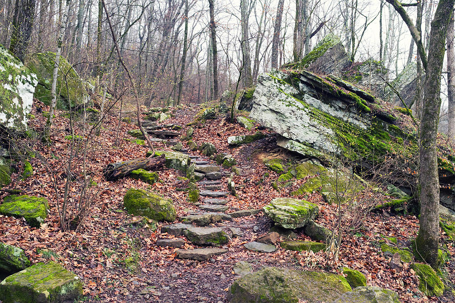 Devils Den Stone Stairs In Autumn Photograph