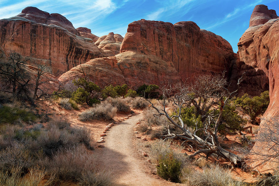 Devils Garden, Arches National Park Photograph by Fotomonkee
