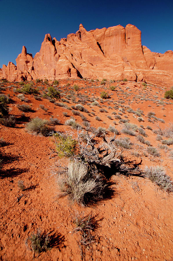 Devils Garden, Arches National Park Photograph by Roddy Scheer - Fine ...