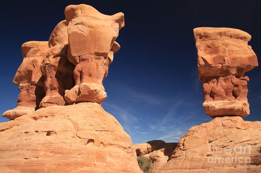 Devils Garden Faces Photograph by Adam Jewell