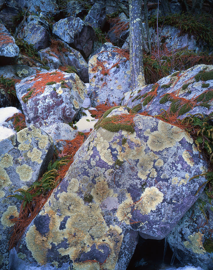 Devils Lake Boulders Photograph by Ray Mathis