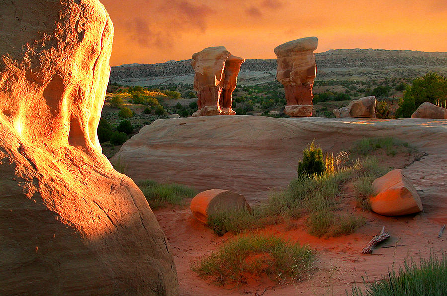 Devil's Rock Garden Photograph by Bill Marder - Fine Art America