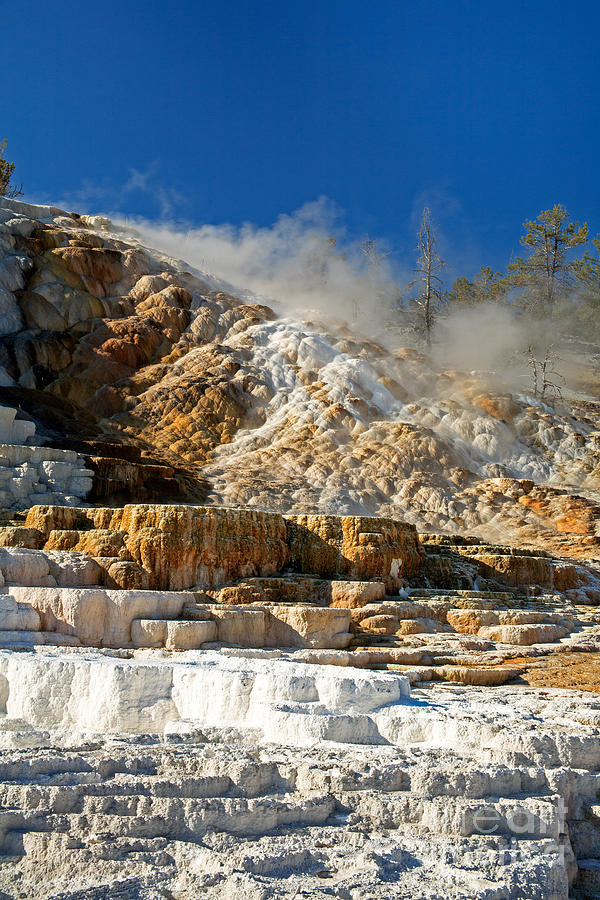 Devils Thumb at Mammoth Hot Springs Photograph by Fred Stearns