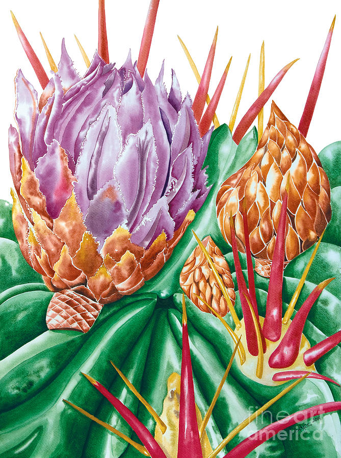 Devils Tongue Cactus Flower Painting by Kandyce Waltensperger