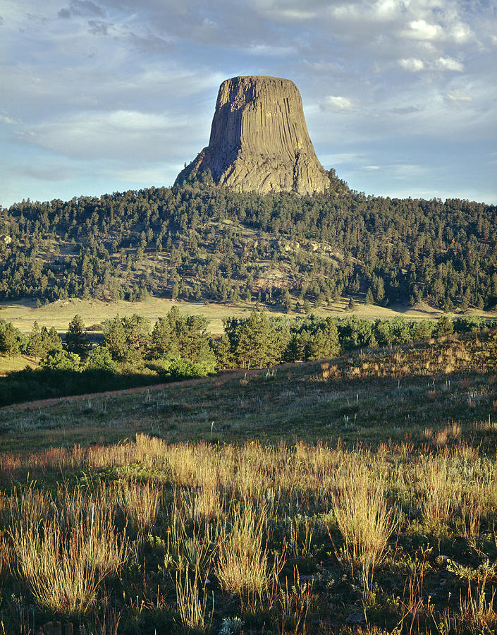1M9806-Devils Tower 1 Photograph by Ed  Cooper Photography