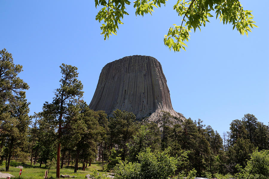 Devils tower 1 Photograph by George Jones