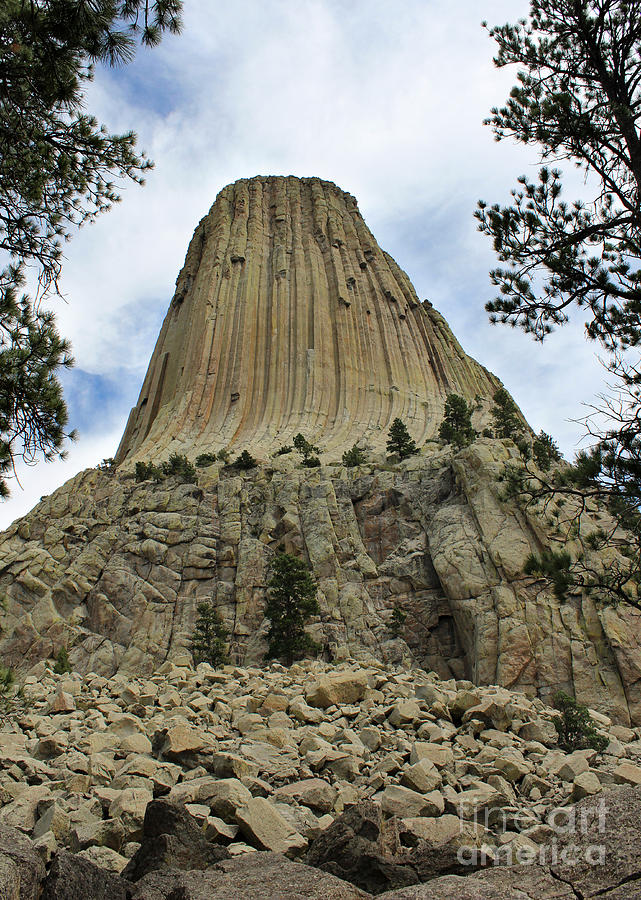 Devils Tower Photograph by Adam Long