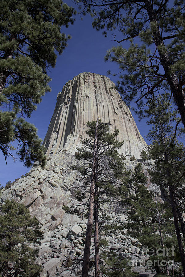 Devils Tower Photograph by Jim West