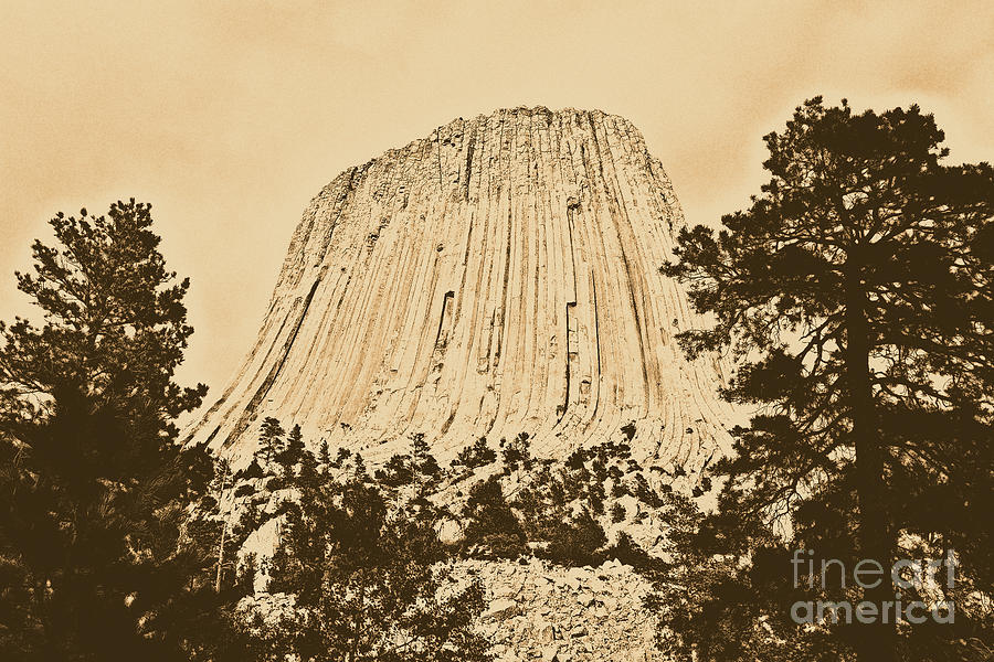 Devils Tower National Monument Between Trees Wyoming USA Rustic Photograph by Shawn OBrien