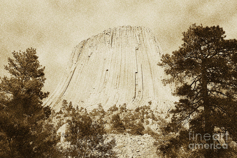Devils Tower National Monument Between Trees Wyoming USA Vintage Digital Art by Shawn OBrien