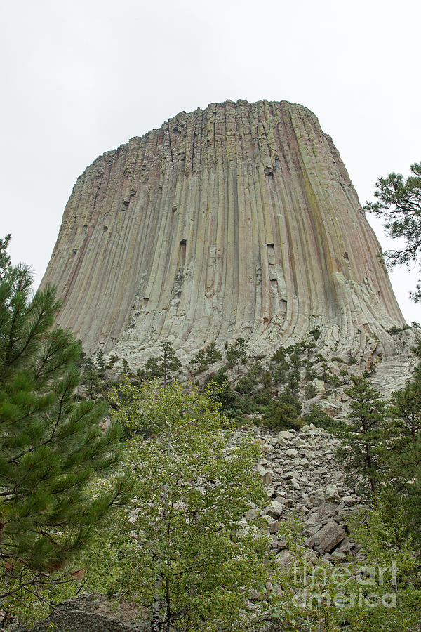 Devils Tower National Monument Photograph by Fred Stearns