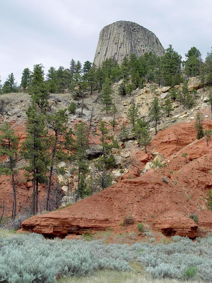 Devils Tower National Monument Wyoming Photograph by Elizabeth Sullivan