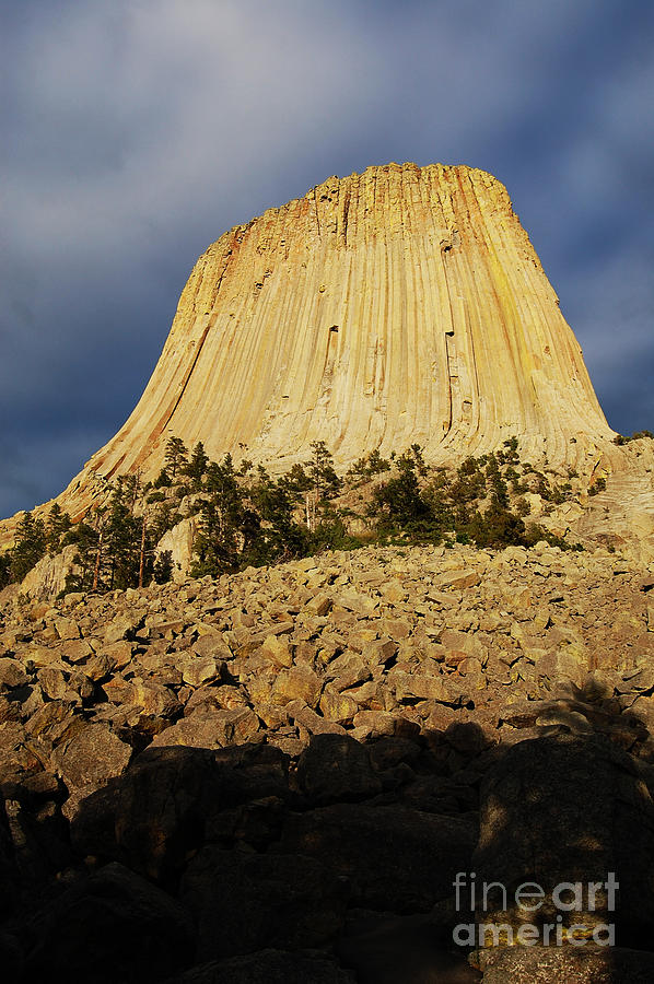 Devils Tower National Monument Wyoming USA Photograph by Shawn OBrien