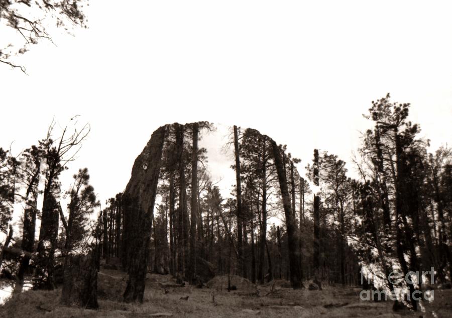 Devils Tower Revealed Photograph by Anthony Wilkening