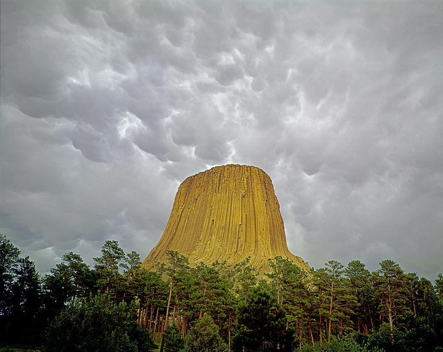 Devils Tower Storm Photograph by Ed  Cooper Photography