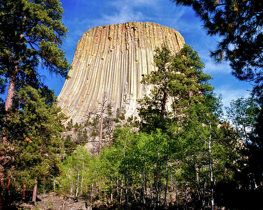 Devils Tower Through the Trees Photograph by Ed Riche