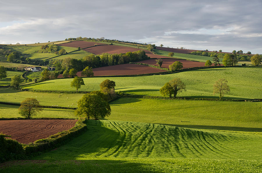 Devon Rural scene Photograph by Pete Hemington