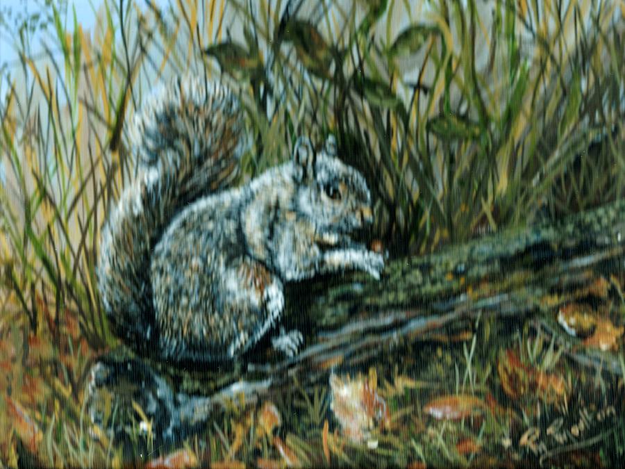 Devon Squirrel  Painting by Mackenzie Moulton