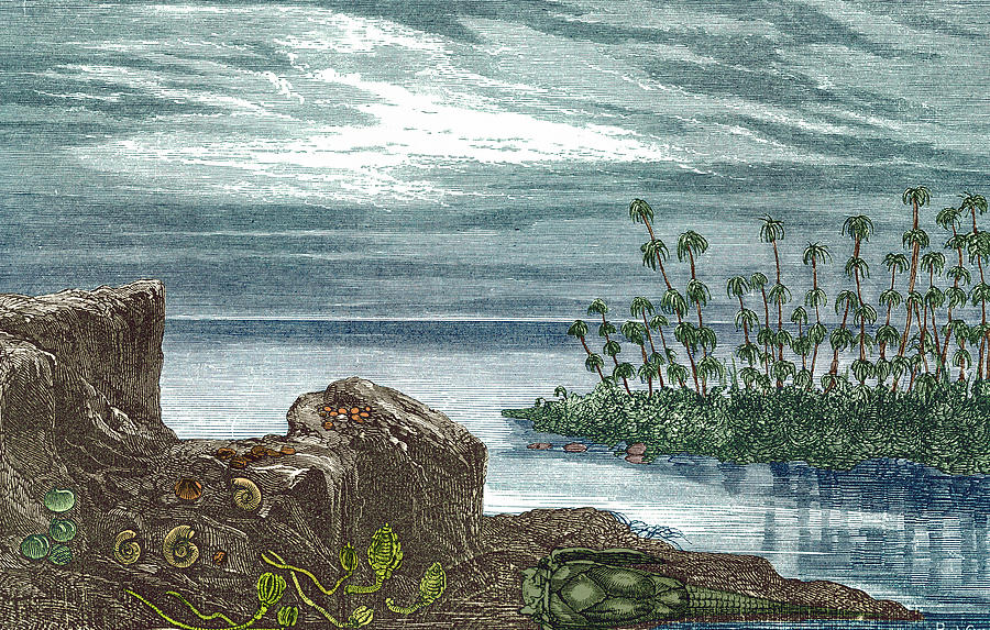 Devonian Period Photograph by Science Source