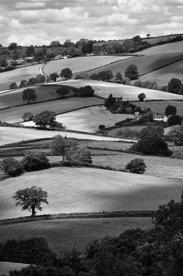 Tree Photograph - Devonshire Hillside by Michael Carter